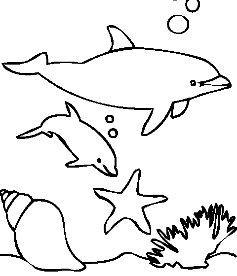 დელფინები წყალქვეშ