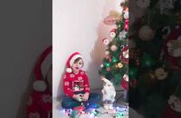 დანიელ ჩიქოვანი