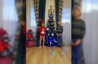 ნიკა და ემილი ფელანგიები