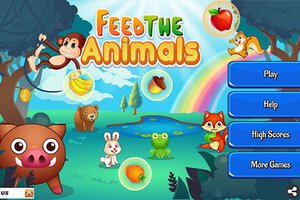 Feed the Animals