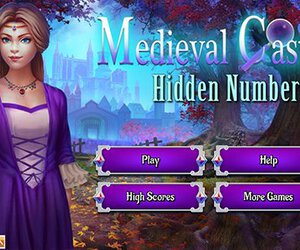 Medieval Castle Hidden Numbers