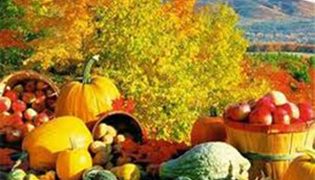 გზა საბავშვო ბაღისაკენ - თემა „შემოდგომა“