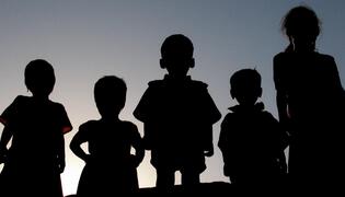 რა შეგვიძლია ვთქვათ შეზღუდული გონებრივი შესაძლებლობის მქონე ბავშვებში ფსიქიკური ჯანმრთელობის პრობლემებზე?