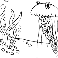 მედუზა ზღვის ფსკერზე