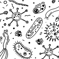 ბაქტერიების ჯადოსნური სამყარო