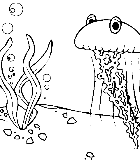 მედუზა ზღვის ფსკერზე