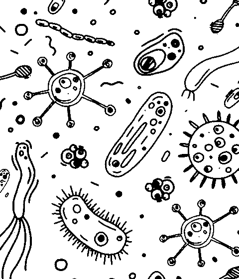 ბაქტერიების ჯადოსნური სამყარო