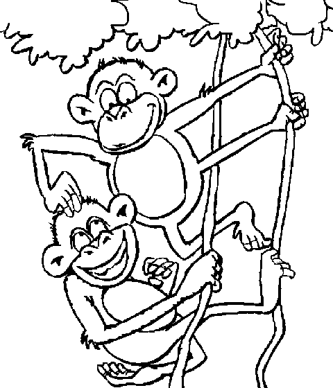 ორი მხიარული მაიმუნი